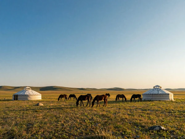 Traditional Kazakh yurt on the vast steppe landscape with horses grazing under an endless blue sky at golden sunset